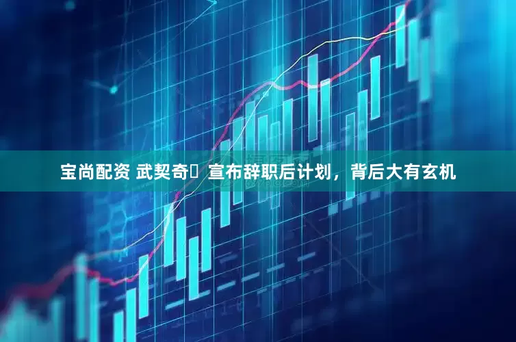 宝尚配资 武契奇​宣布辞职后计划，背后大有玄机